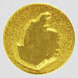 Gold Disk