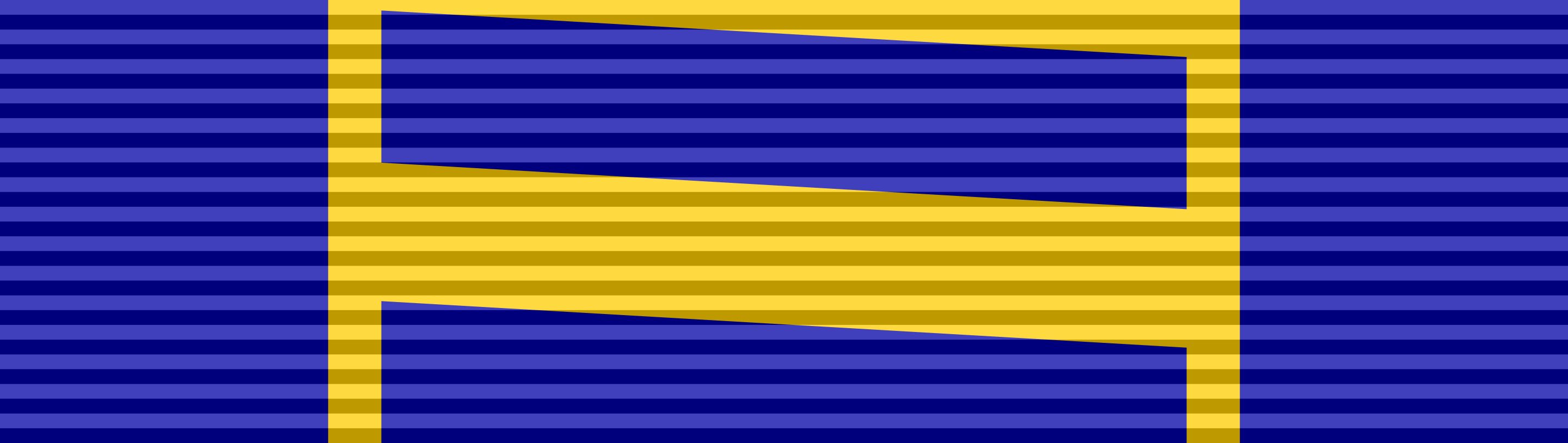 National Security Medal