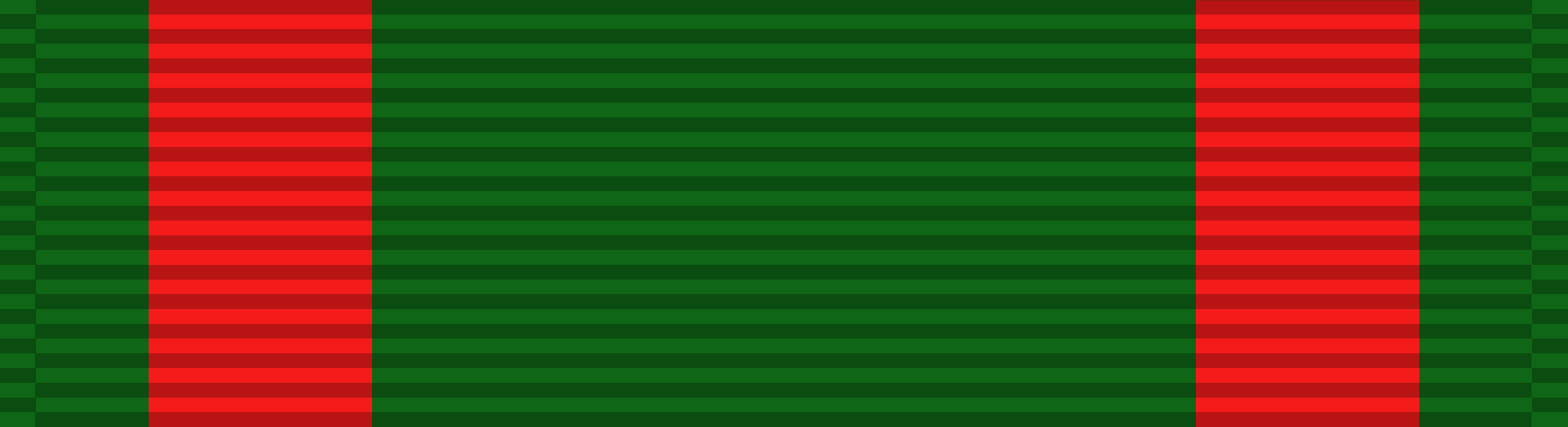Vietnam Civil Actions Medal 2