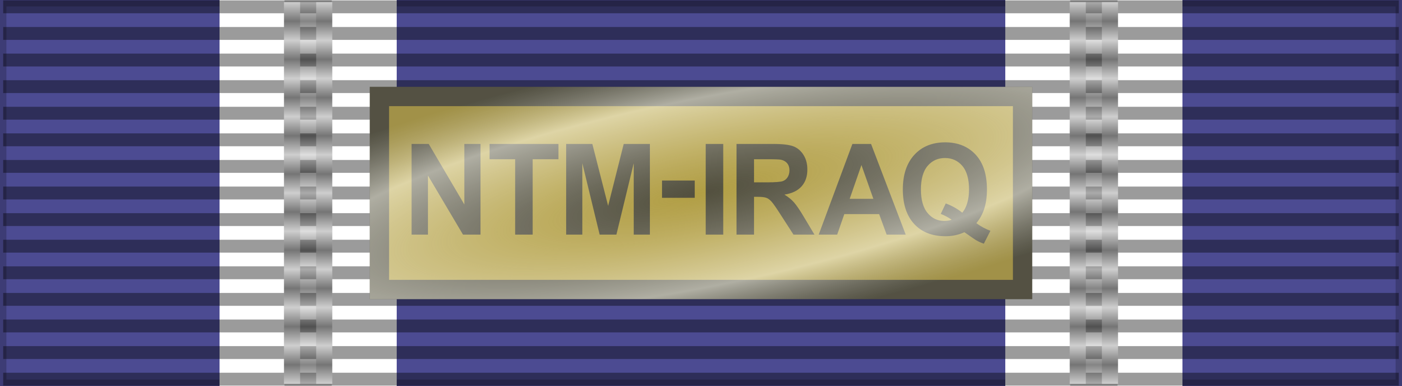 NATO_Medal_NTM-IRAQ.png