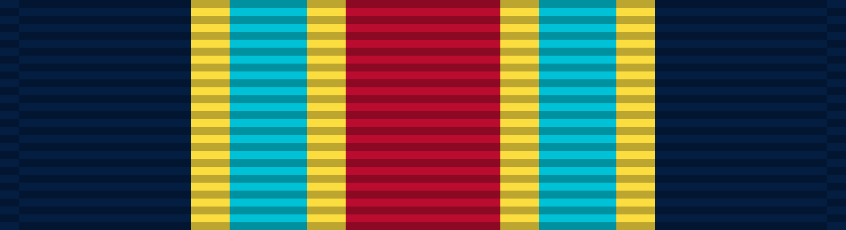 Navy Fleet Marine Force Ribbon